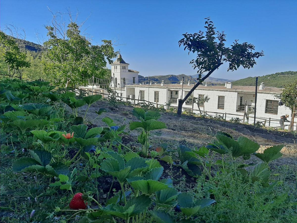 Hotel Apartamento Nueva Alcazaba Busquistar Bagian luar foto